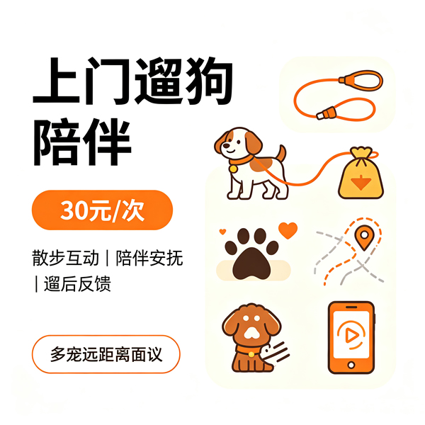 上门遛狗陪伴